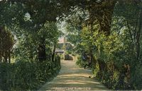 Picture of Old Ryde